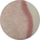 Delicate Pink VC432S