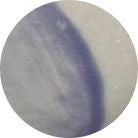 Delicate Lavender VC434S