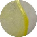 Delicate Yellow VC436S