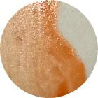 Florida Orange VC445G