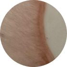 Basic Flesh VC425G