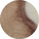 Chocolate VC458G