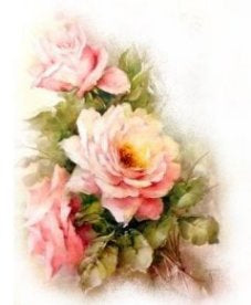 Formal Pink Rose VD014