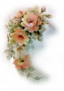 Peach Rose VD017