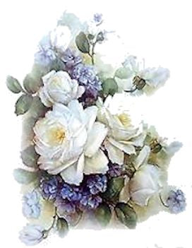 White Rose VD027
