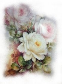 White Pink Rose VD035