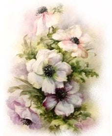 Anemonie VD002