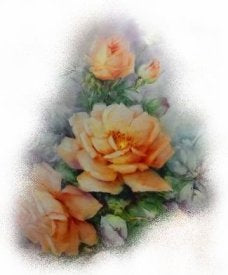 Orange Rose VD016