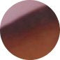 Brazilnut VC335G