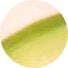 Key Lime VC411G