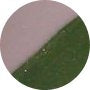 Carnival Green VC516