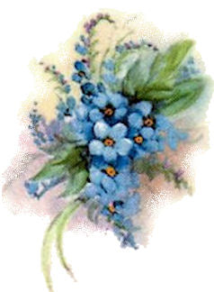 Forget me Nots VD005