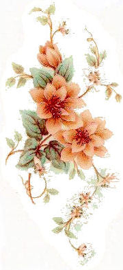 Peach Spray VD006