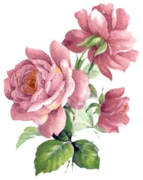 Pink Rose #1 VD007