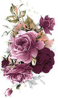 Burgundy Rose Spray VD008