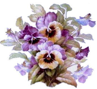 Lavender Pansy Cluster VD010