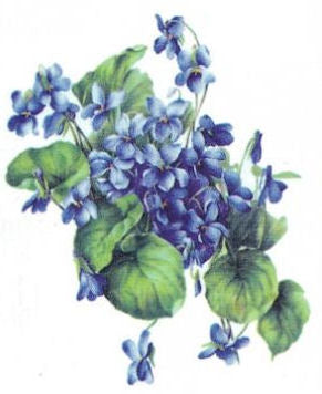 Blue Violas VD013
