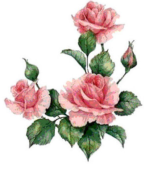 Pink Rose #2 VD019