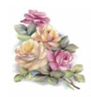Rose Cluster VD024