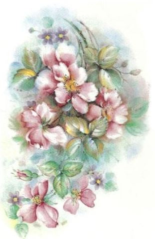 Dogwood VD025