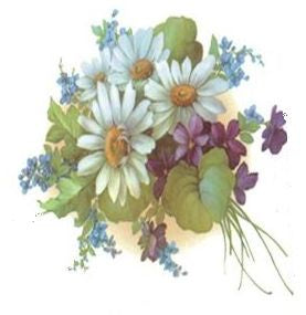 Daisies VD026