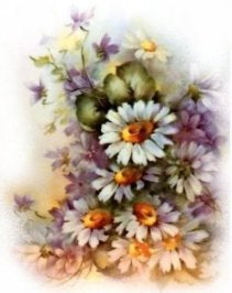 White Daisy VD036